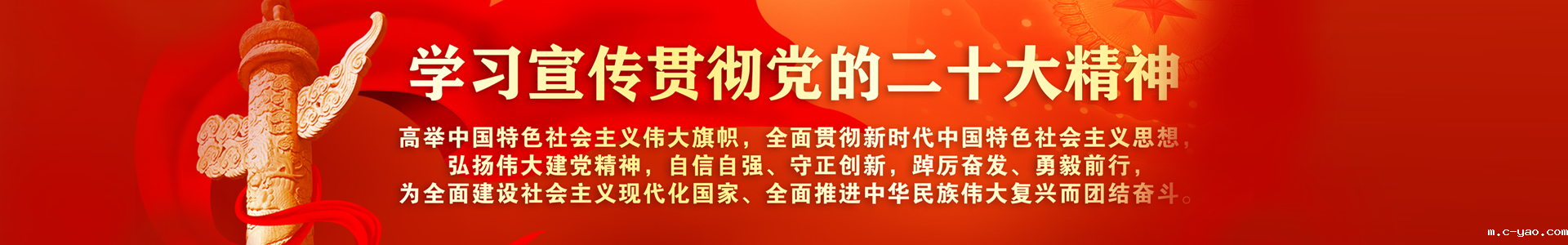 学习宣传贯彻党的二十大精神